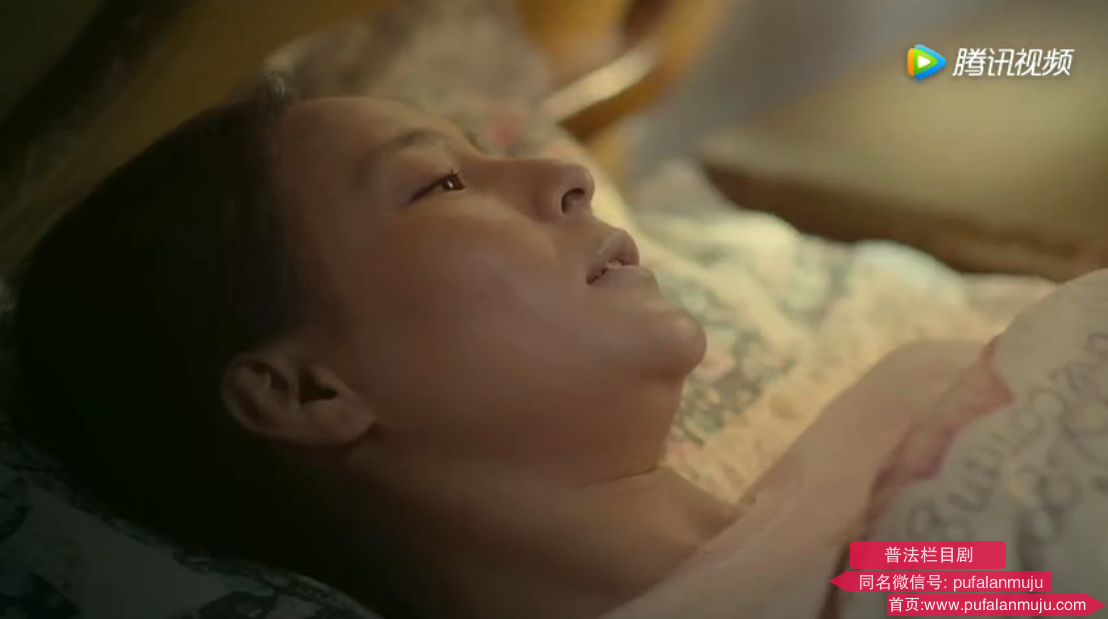 普法栏目剧《秋天里的一棵树》第一集预告