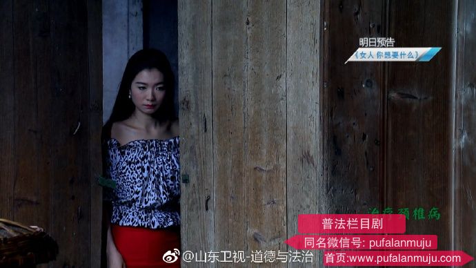 道德与法治《普法栏目剧：一网打尽》20170922